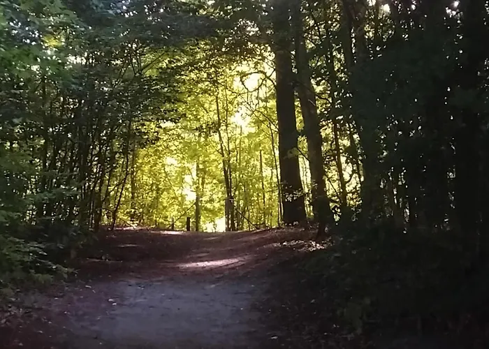 Greenbrook Blue Twinsuite Lägenhet